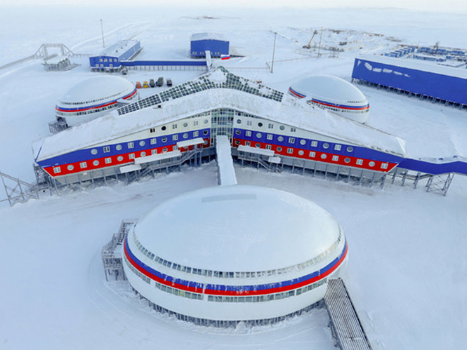 Медин в Арктике