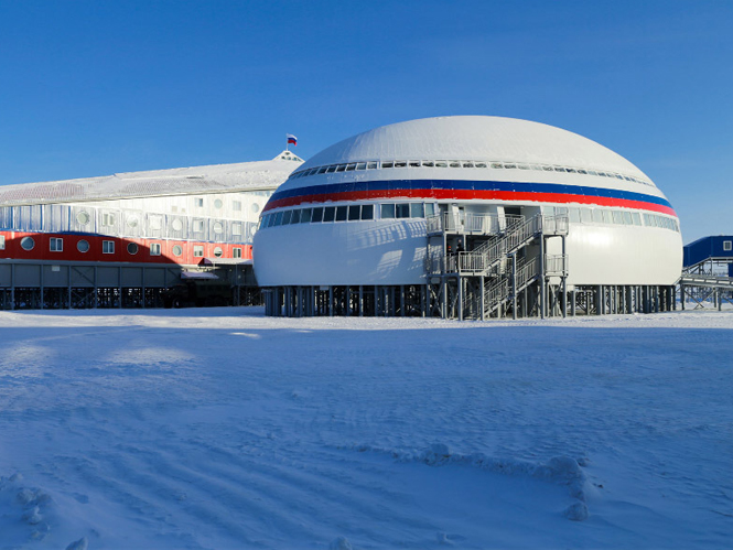 Медин в Арктике
