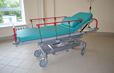 Emergency Hospital in Orel